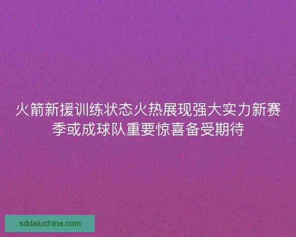 火箭新援训练状态火热展现强大实力新赛季或成球队重要惊喜备受期待